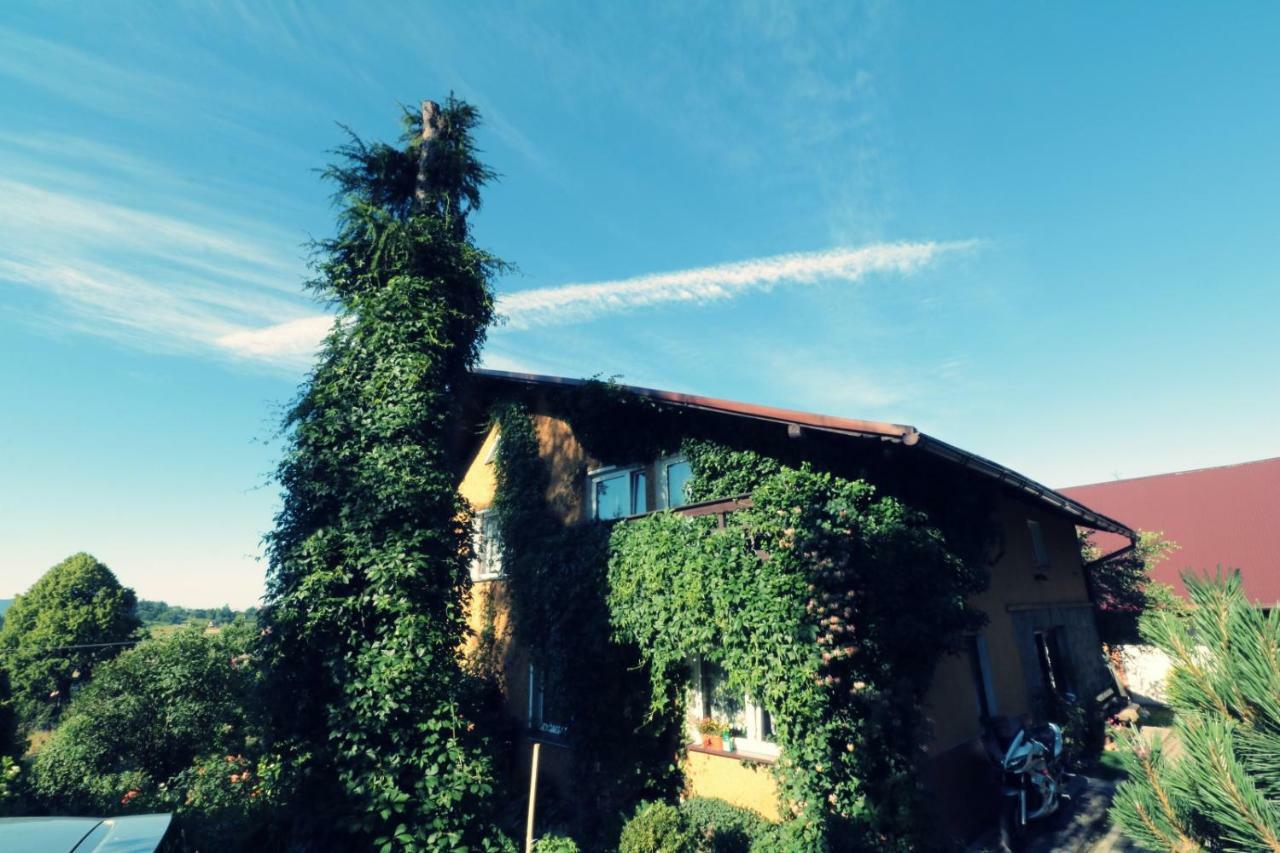 Agroturystyka Tyniok Koniaków Exterior foto